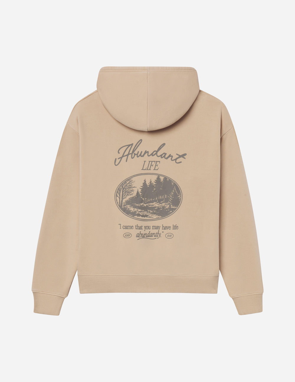 Abundant-Life-Unisex-Hoodie_02_42c3da8b-2d44-4112-9766-fbc9a894ee9b.jpg
