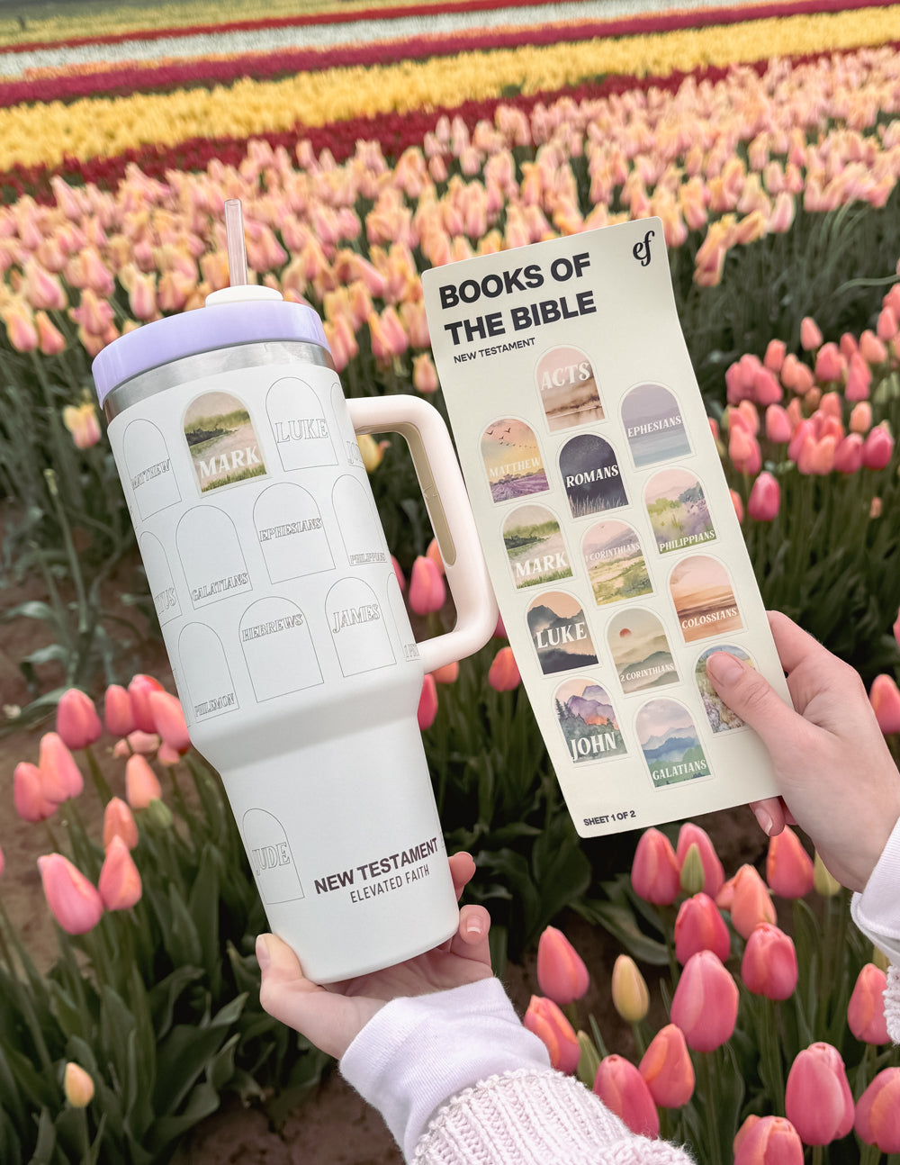 NT-Bible-Checklist-40-oz-Tumbler_07.jpg